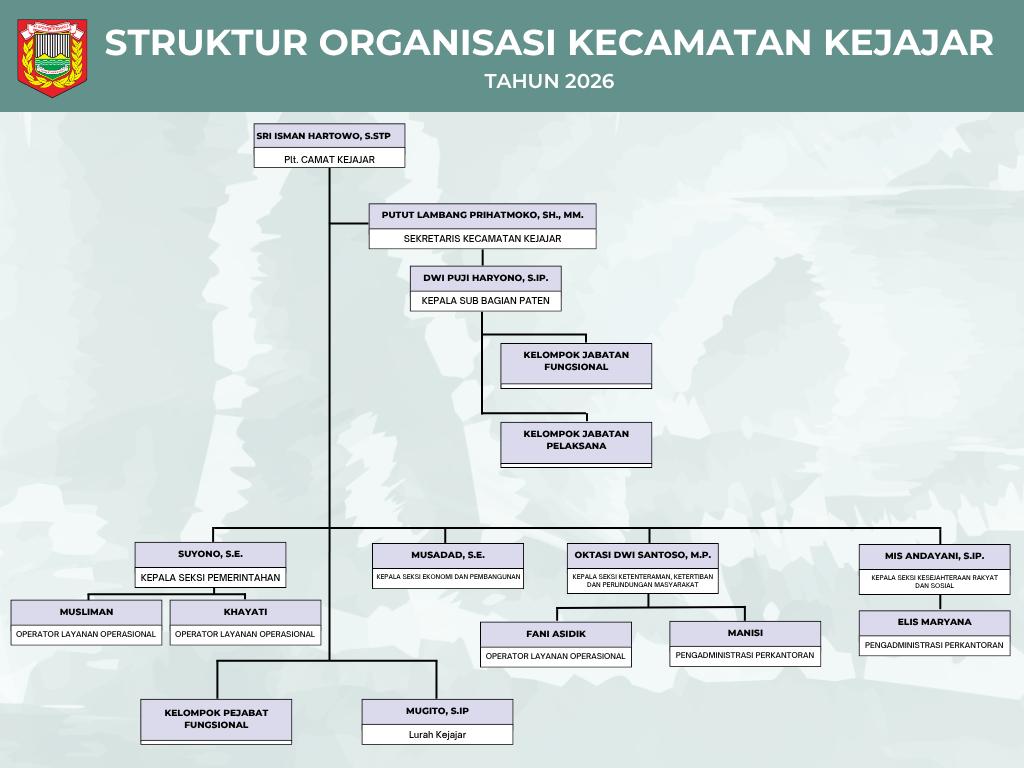 Struktur organisasi kejajar